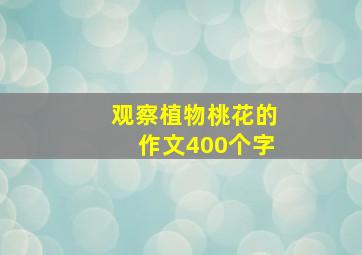 观察植物桃花的作文400个字