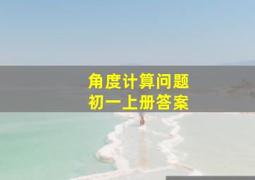 角度计算问题初一上册答案