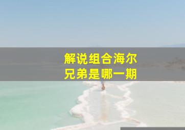 解说组合海尔兄弟是哪一期