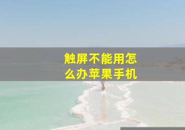 触屏不能用怎么办苹果手机