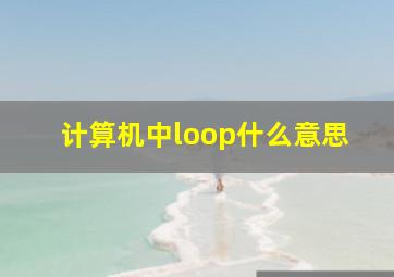 计算机中loop什么意思