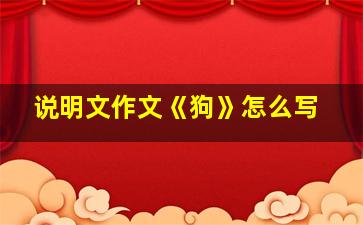 说明文作文《狗》怎么写