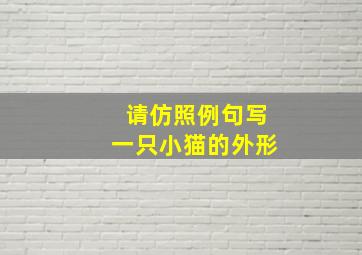 请仿照例句写一只小猫的外形