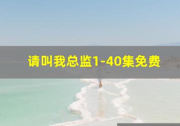 请叫我总监1-40集免费