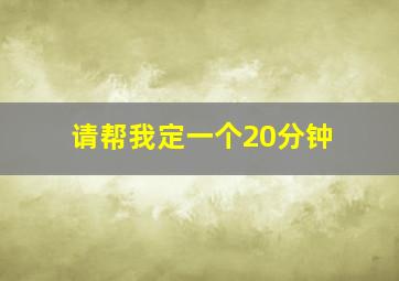 请帮我定一个20分钟