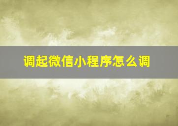 调起微信小程序怎么调