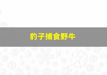 豹子捕食野牛