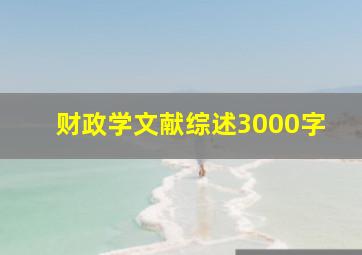 财政学文献综述3000字