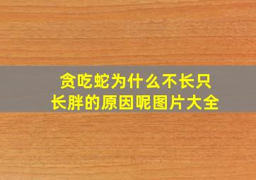 贪吃蛇为什么不长只长胖的原因呢图片大全