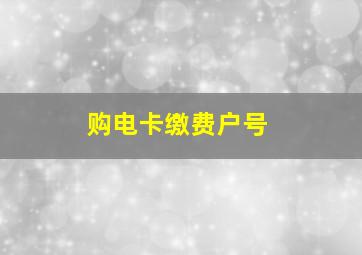 购电卡缴费户号