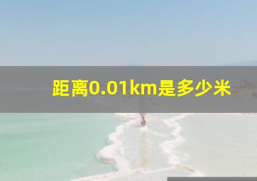 距离0.01km是多少米