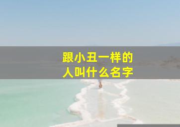 跟小丑一样的人叫什么名字