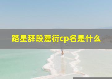 路星辞段嘉衍cp名是什么