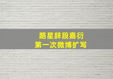 路星辞段嘉衍第一次微博扩写