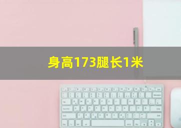 身高173腿长1米