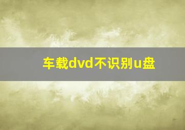 车载dvd不识别u盘