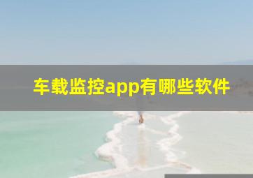 车载监控app有哪些软件