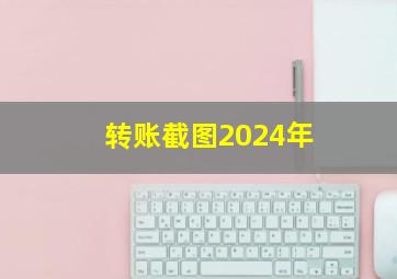 转账截图2024年