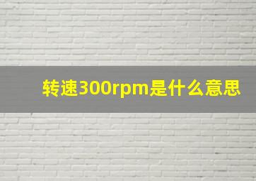 转速300rpm是什么意思