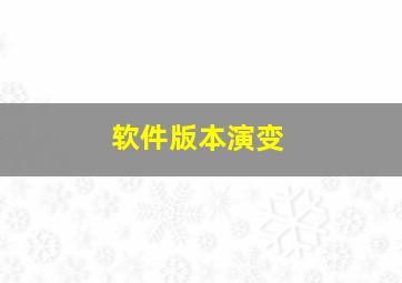 软件版本演变