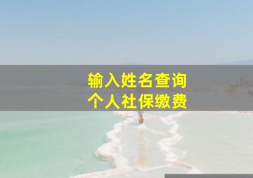 输入姓名查询个人社保缴费