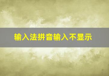 输入法拼音输入不显示