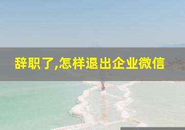 辞职了,怎样退出企业微信