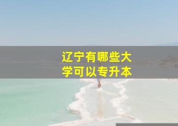 辽宁有哪些大学可以专升本