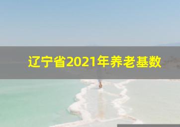 辽宁省2021年养老基数