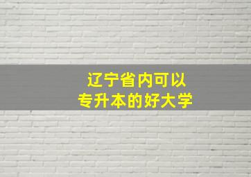 辽宁省内可以专升本的好大学