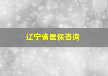 辽宁省医保咨询