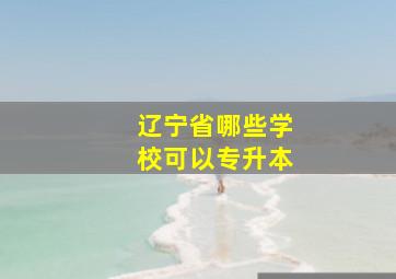 辽宁省哪些学校可以专升本