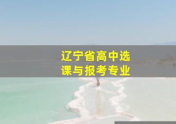 辽宁省高中选课与报考专业