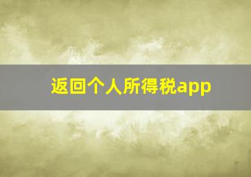 返回个人所得税app