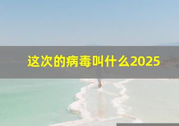 这次的病毒叫什么2025