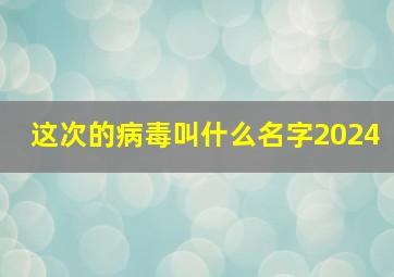 这次的病毒叫什么名字2024