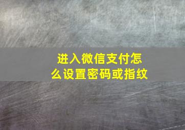 进入微信支付怎么设置密码或指纹