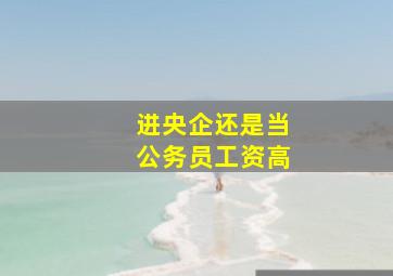 进央企还是当公务员工资高