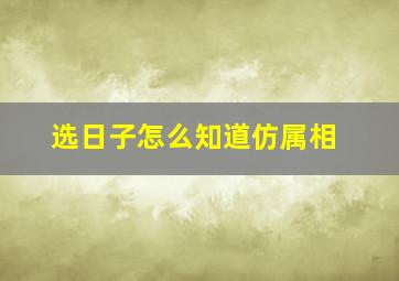 选日子怎么知道仿属相