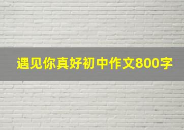 遇见你真好初中作文800字