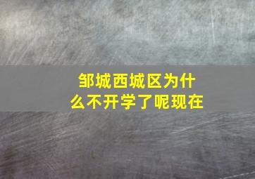 邹城西城区为什么不开学了呢现在