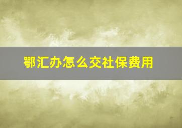 鄂汇办怎么交社保费用