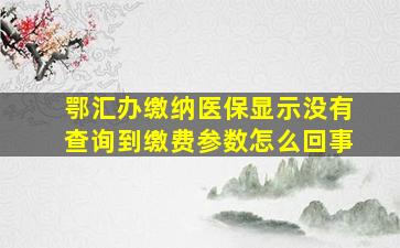 鄂汇办缴纳医保显示没有查询到缴费参数怎么回事