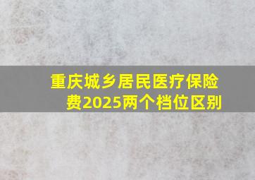 重庆城乡居民医疗保险费2025两个档位区别