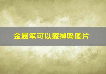 金属笔可以擦掉吗图片