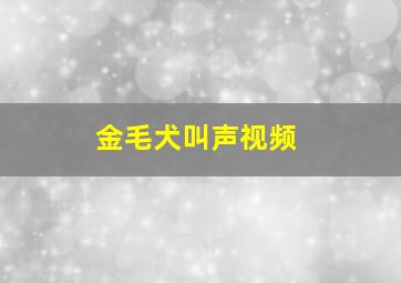 金毛犬叫声视频