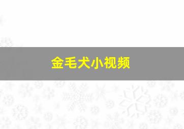 金毛犬小视频