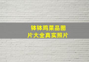 钵钵鸡菜品图片大全真实照片