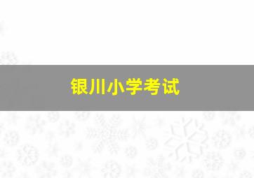 银川小学考试