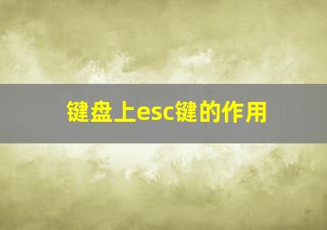 键盘上esc键的作用